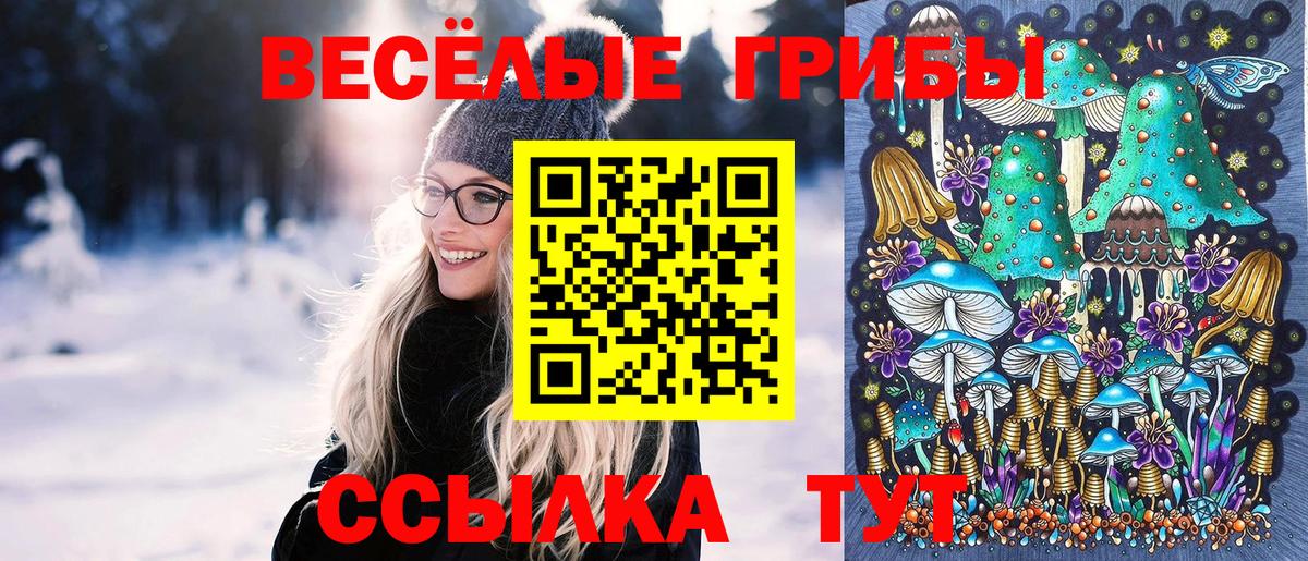 Галлюциногенные грибы Cubensis Архангельск